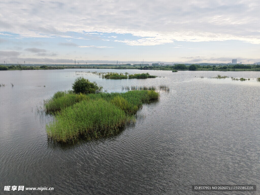 水上绿岛景观