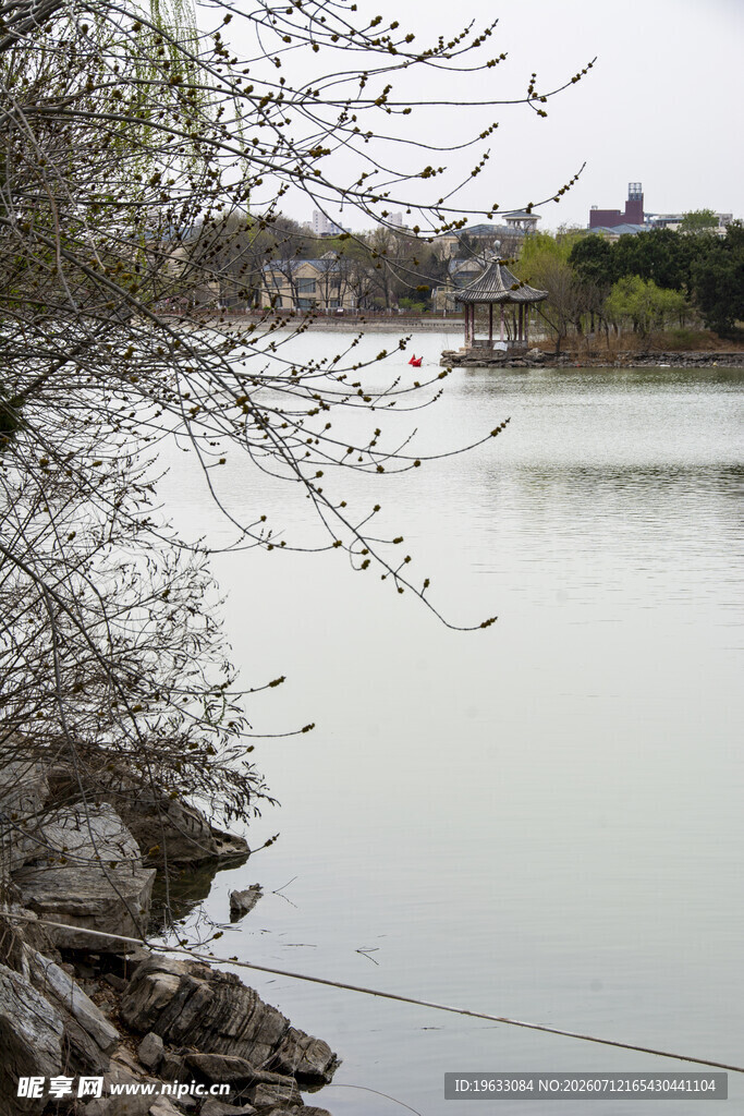 早春湖景