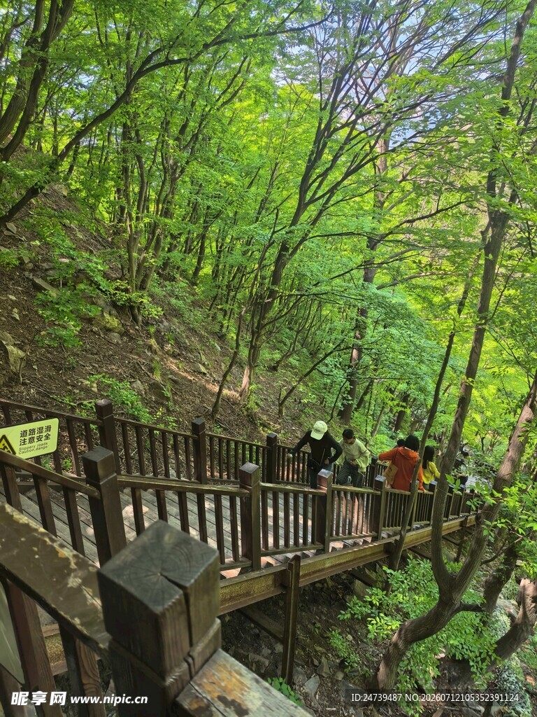 山林栈道