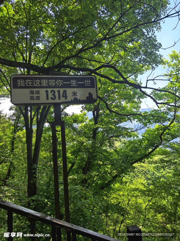 山林中指向城镇的指示路标