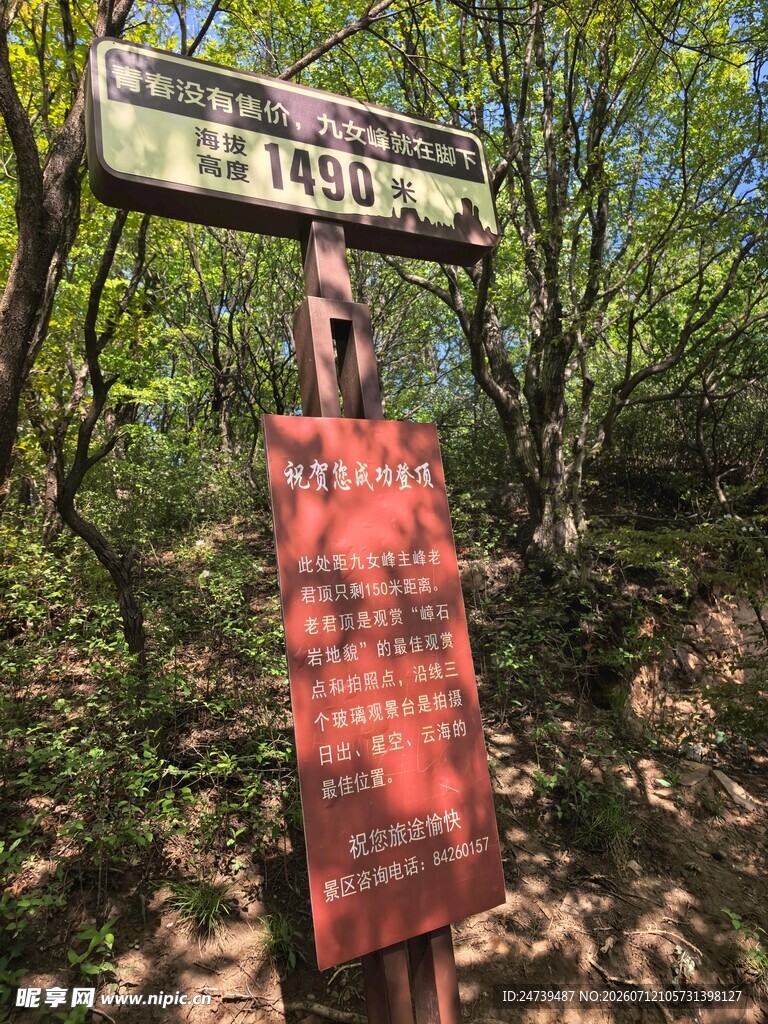 森林中的指示路标