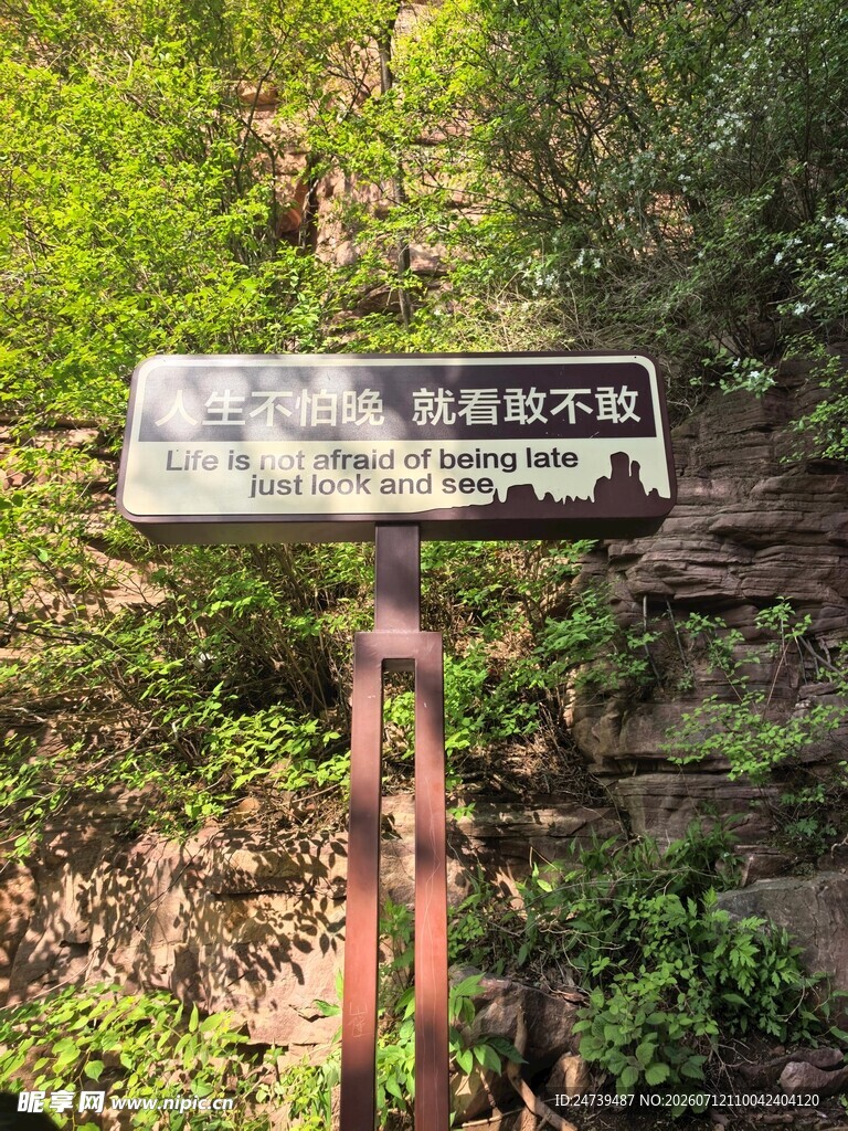 标识牌立于绿植间