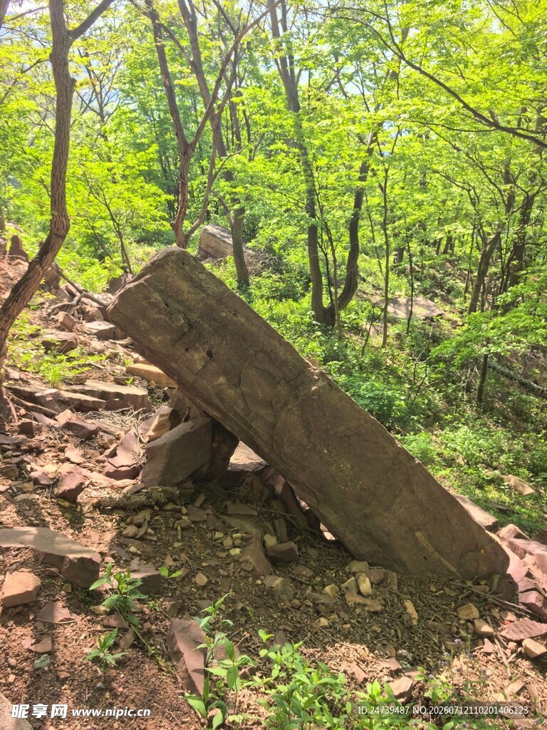 林中倾斜的古老石碑