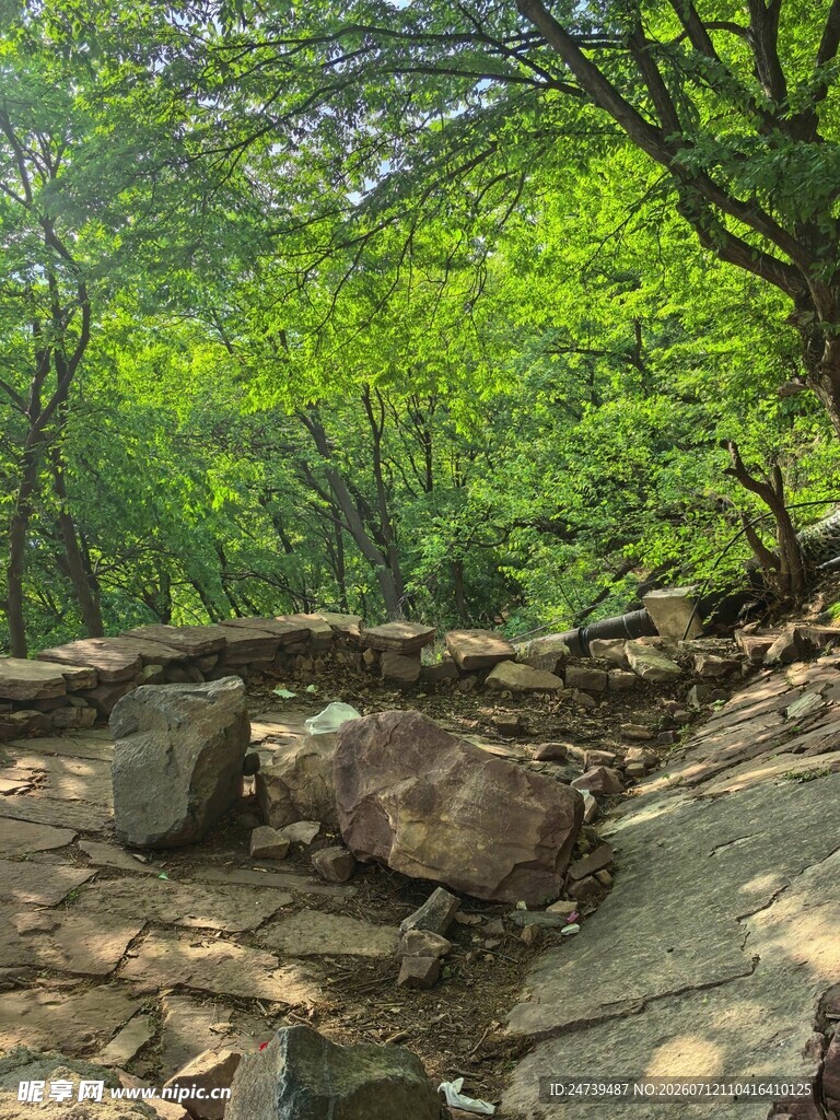 山林间的岩石与葱郁树木