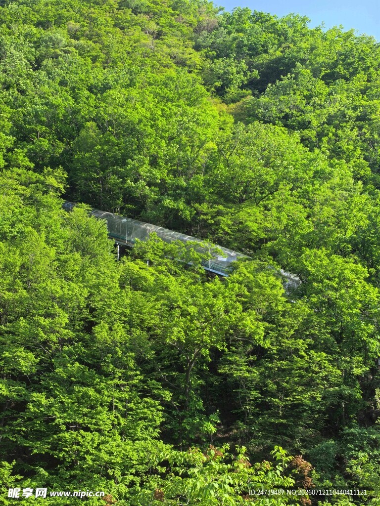山林间的隐秘管道