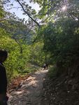 山林中漫步林间小道