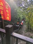 林间木栈道漫步