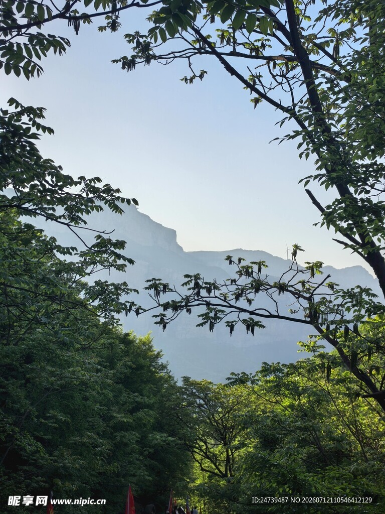 山林间的朦胧远山景色