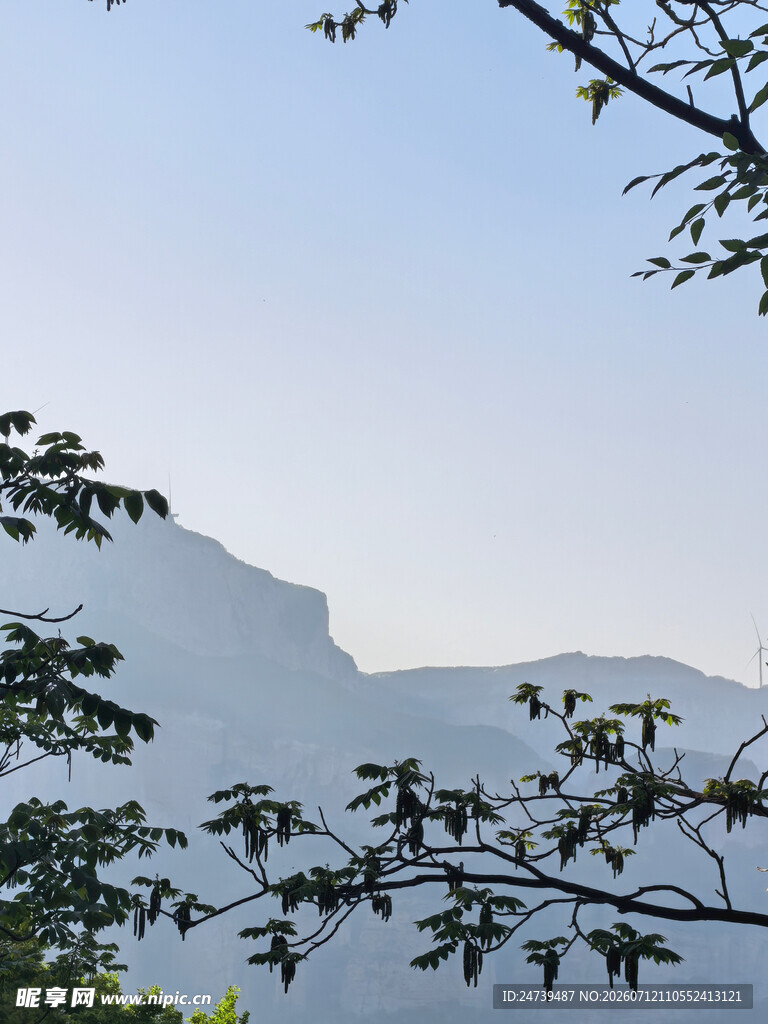 山间景致枝叶掩映山峰