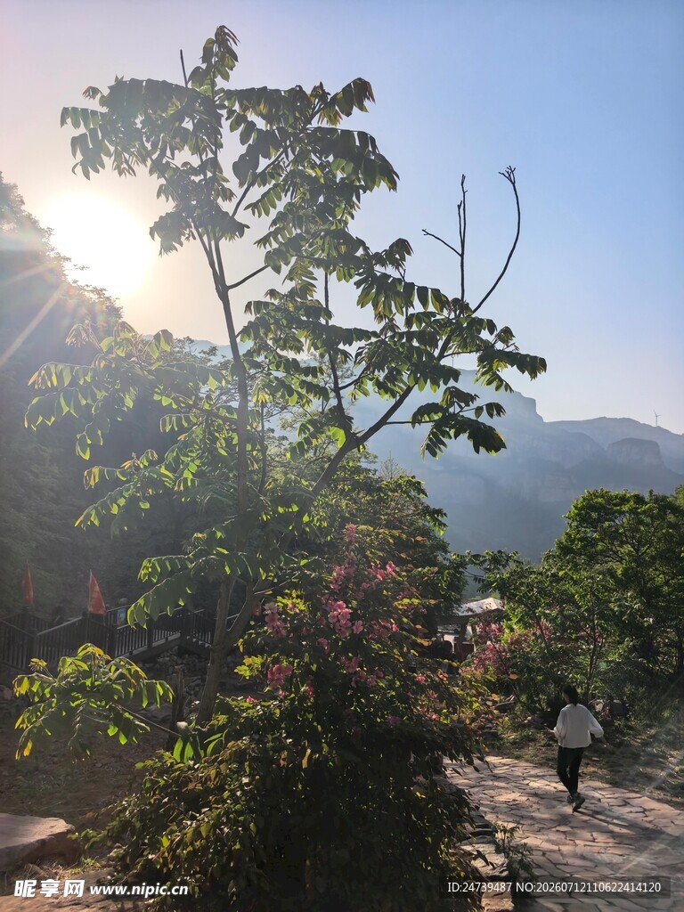 山间小道的自然美景