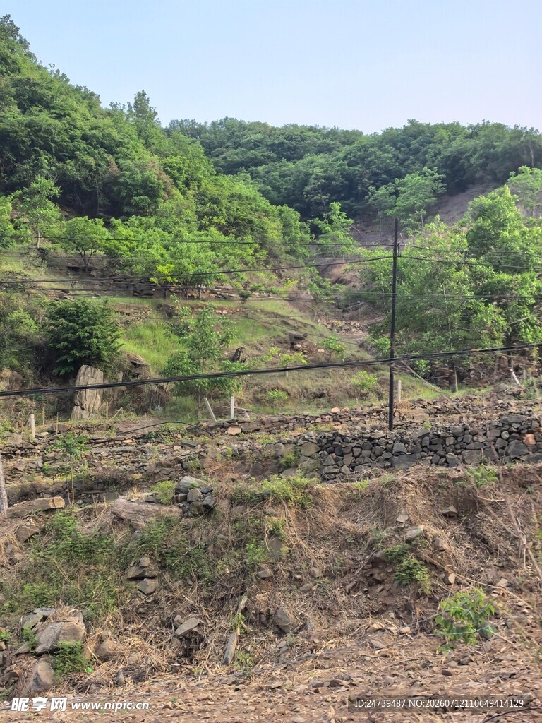 山坡上的植被与裸露土地