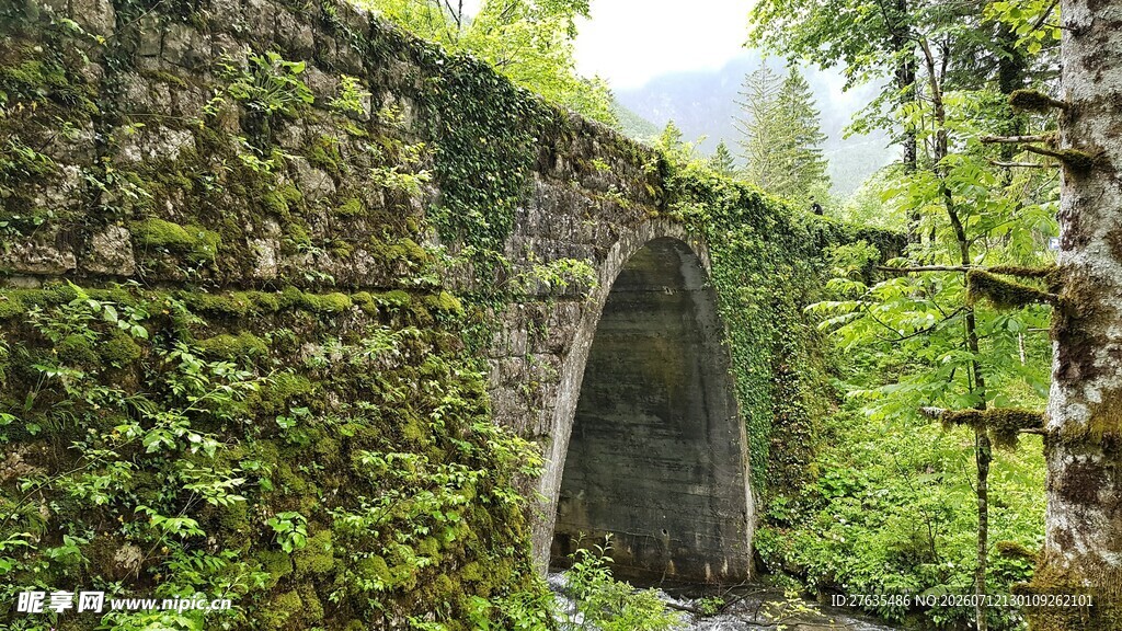 古老石拱桥被绿植环绕