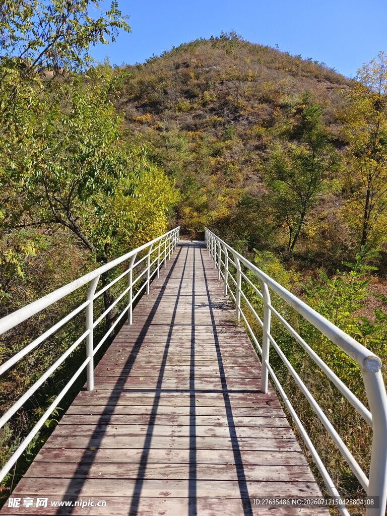 山间木栈道美景