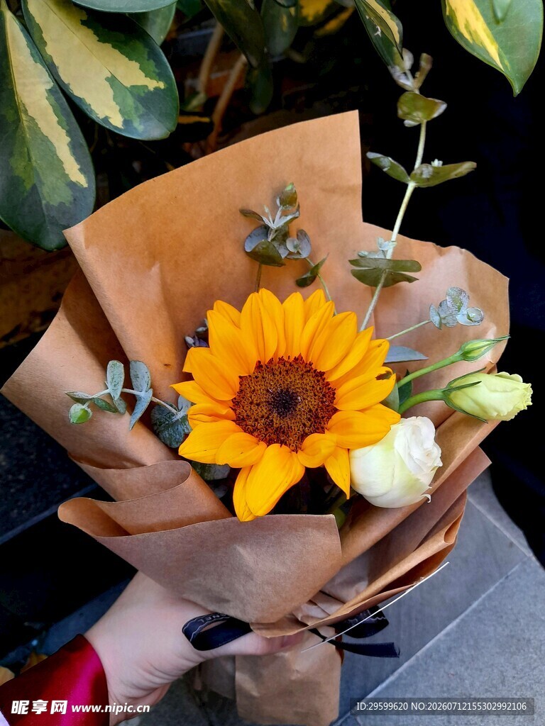 精美向日葵花束