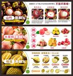 水果介绍宣传海报