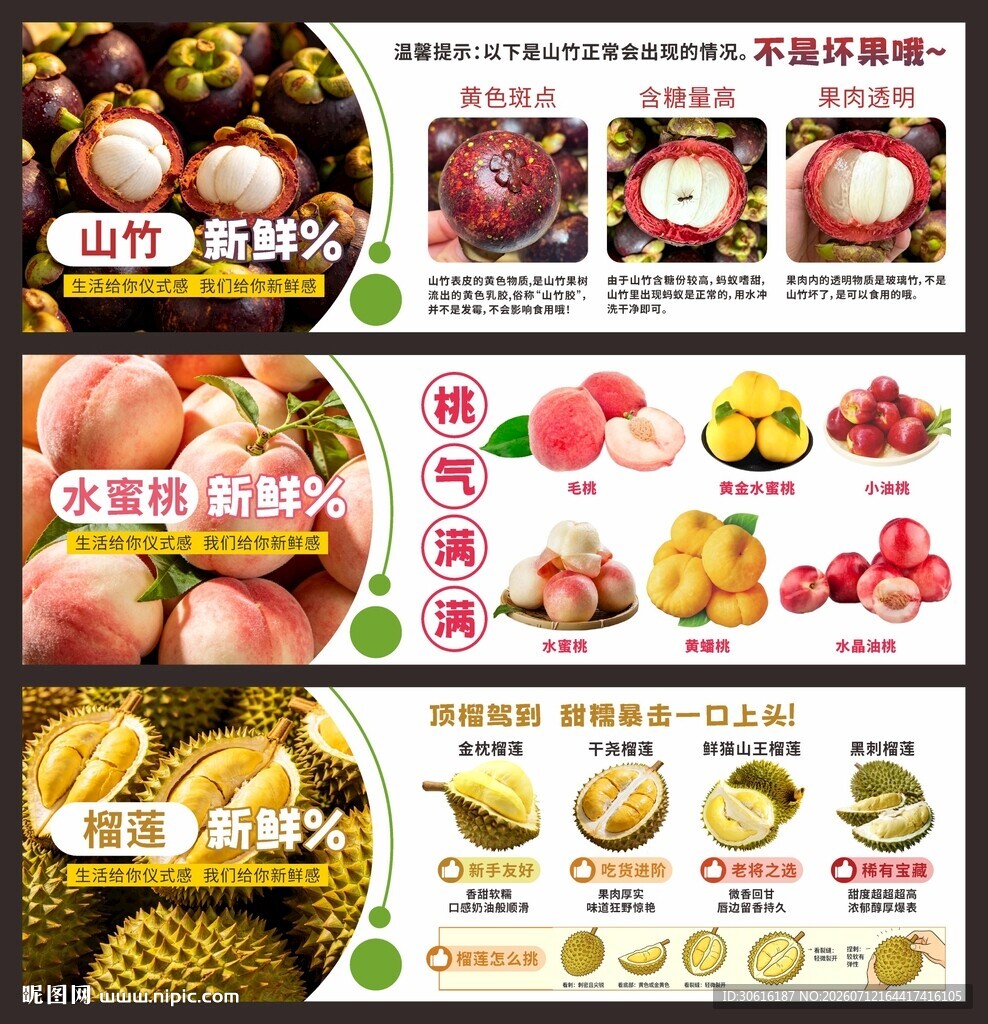 水果介绍宣传海报