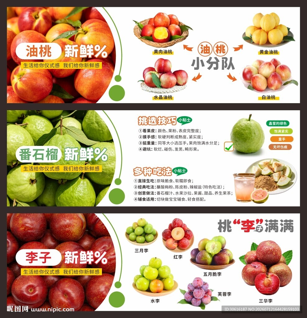 水果介绍宣传海报