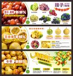 水果介绍宣传海报