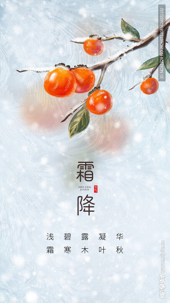 霜降时节的红柿枝头