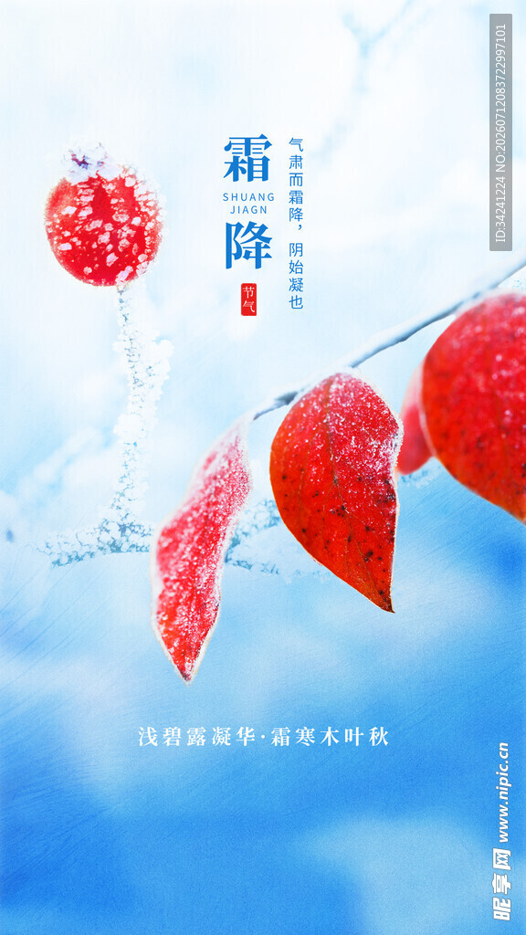 霜降节气海报插画