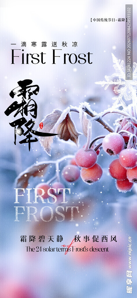 霜降节气海报插画