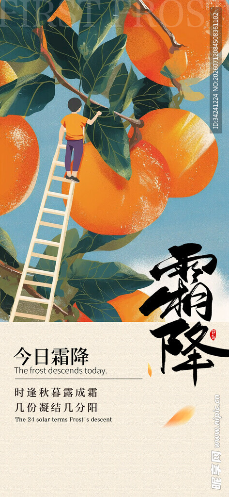霜降节气海报插画