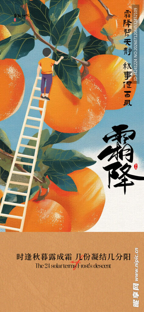 霜降节气海报插画