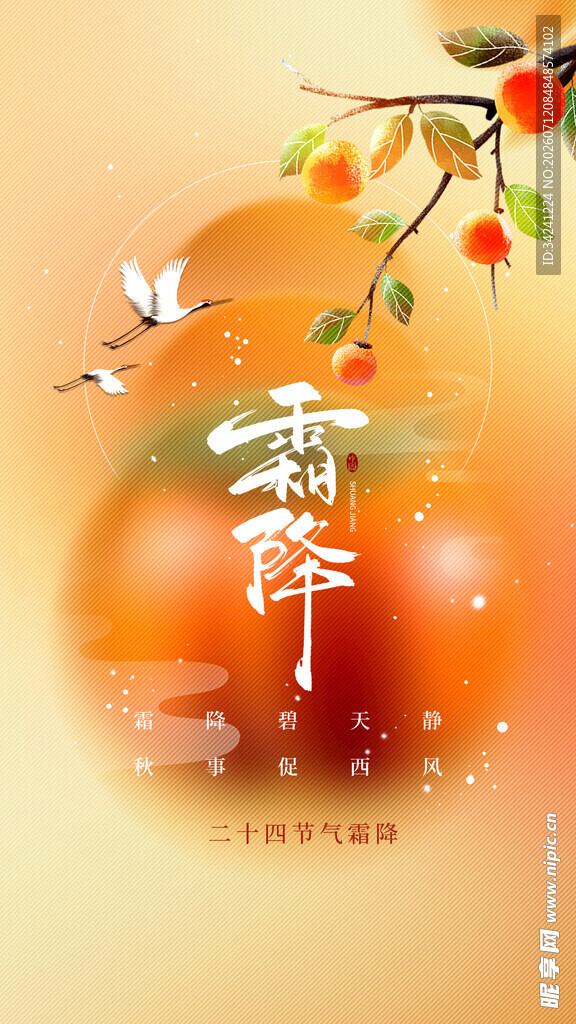 霜降节气海报插画