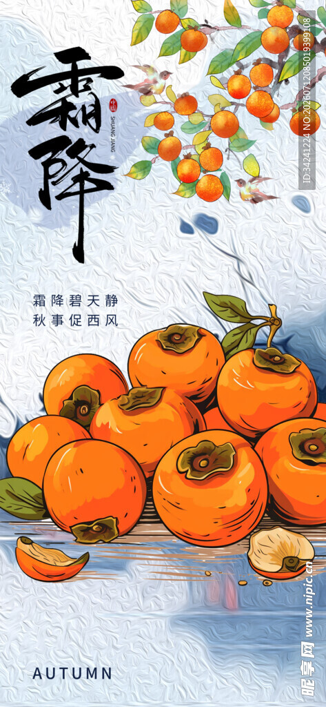 霜降节气海报插画