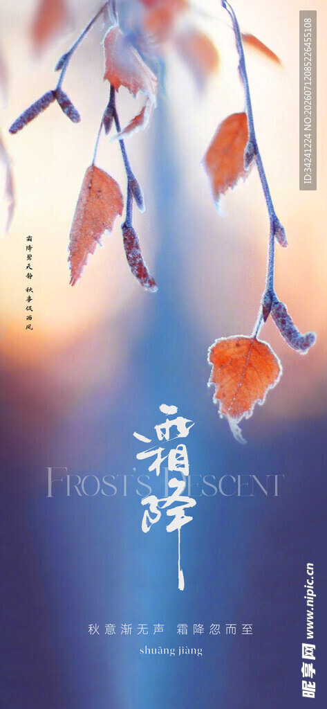 霜降节气海报插画
