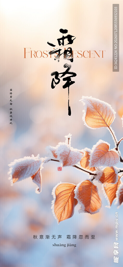 霜降节气海报插画