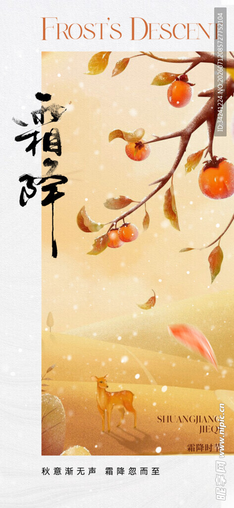 霜降节气海报插画