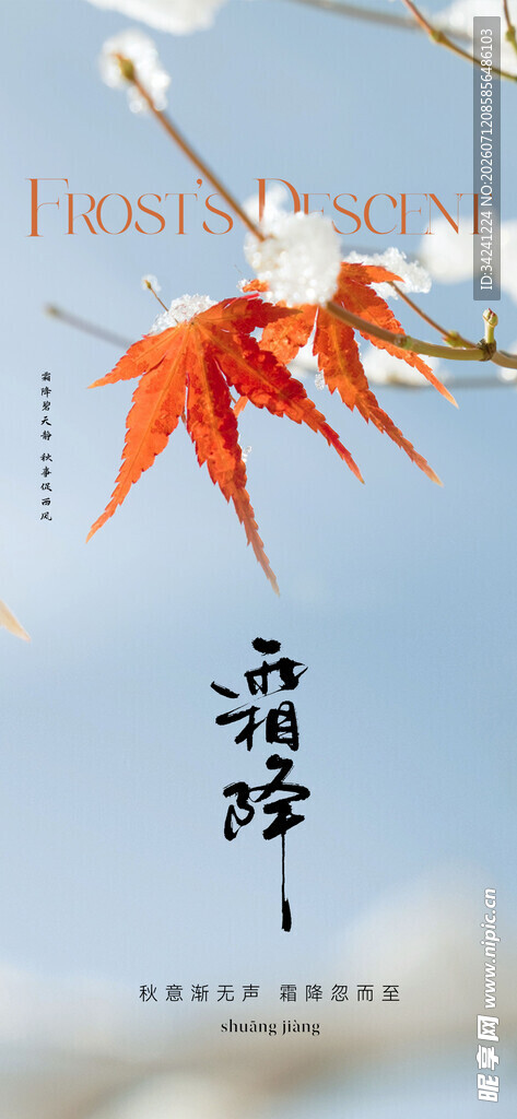 霜降节气海报插画