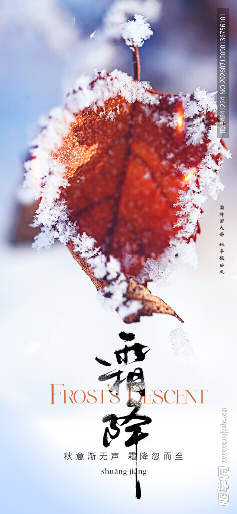 霜降节气海报插画
