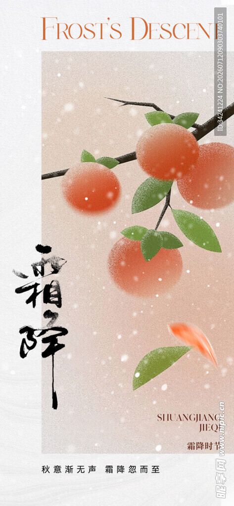 霜降节气海报插画