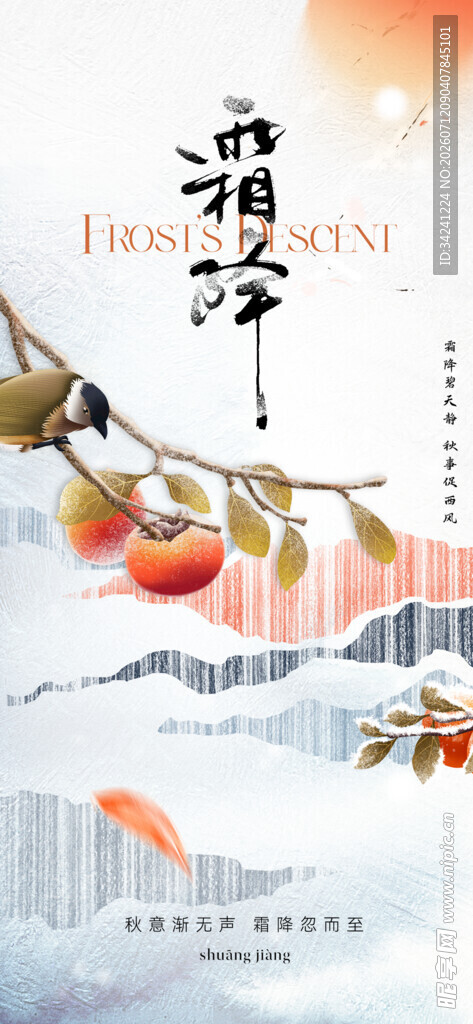霜降节气海报插画