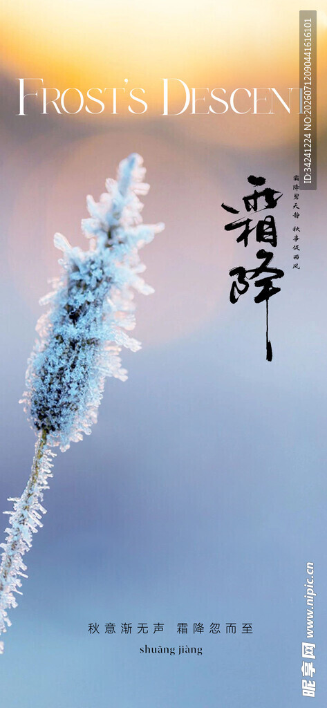 霜降节气海报插画