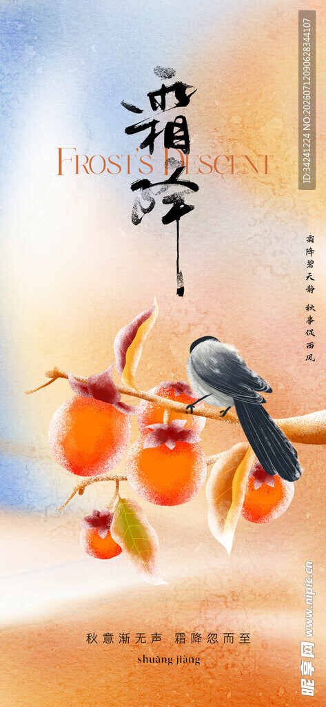 霜降节气海报插画
