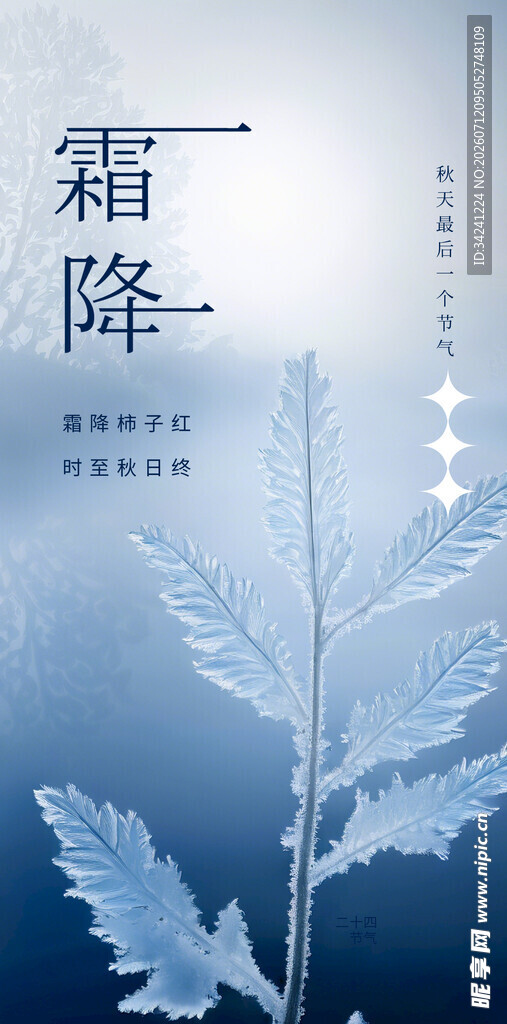霜降时节的唯美植物景象