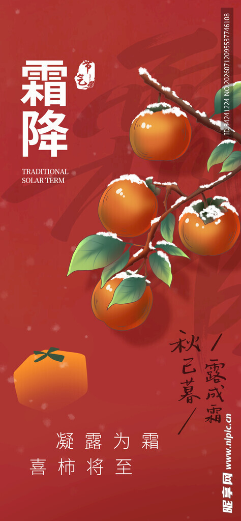 霜降时节枝头挂的甜柿