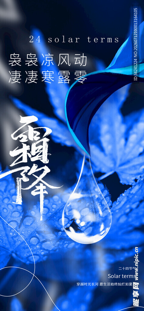霜降节气海报插画