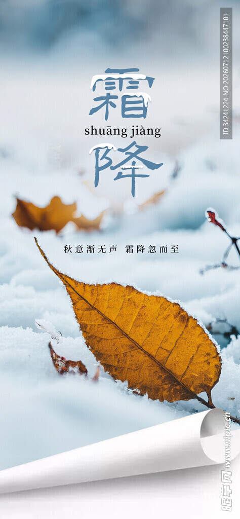 霜降时节落叶飘零景象