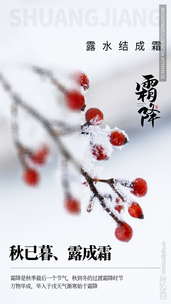 霜降节气海报插画