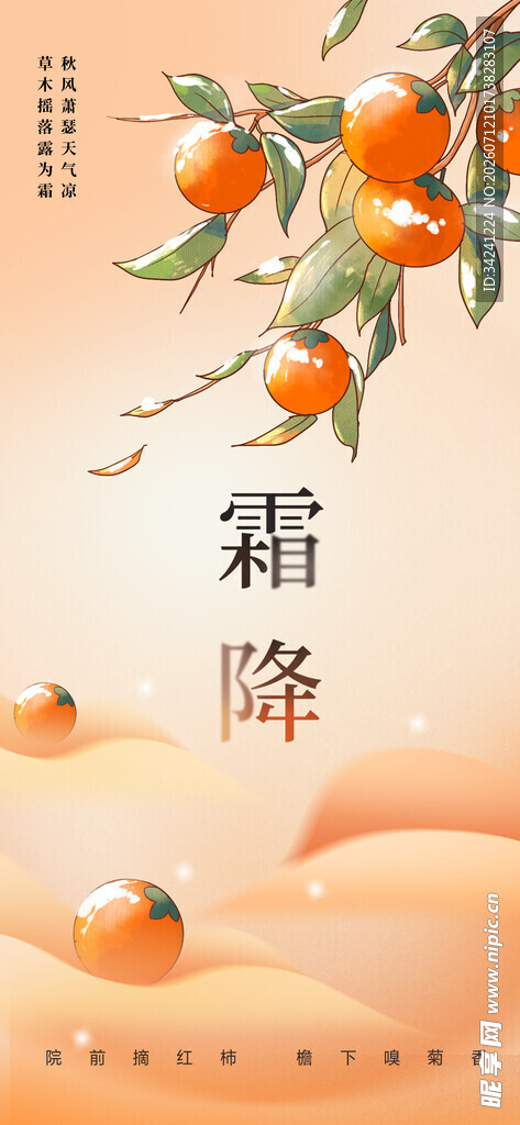 霜降时节枝头橙果图