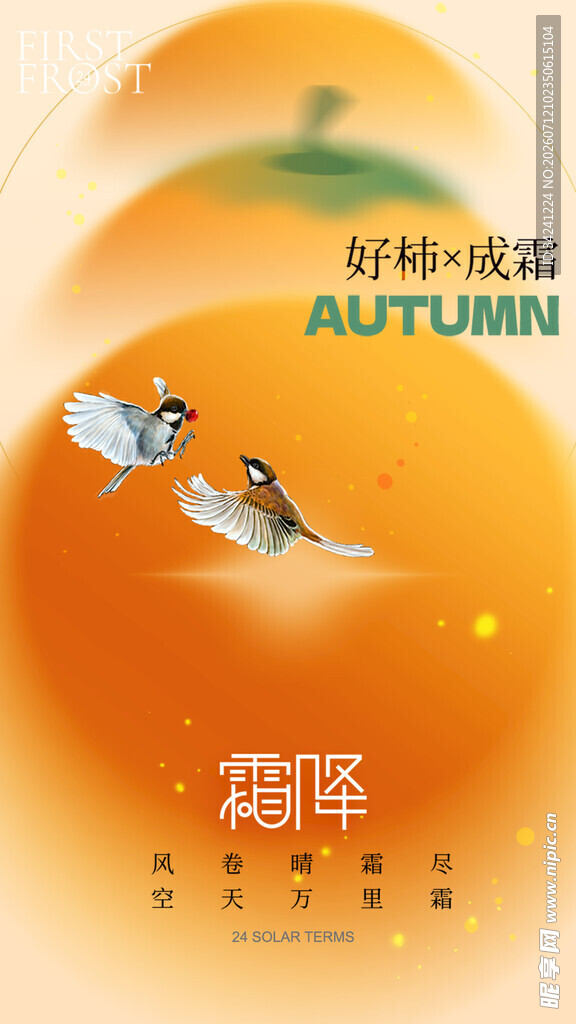 霜降节气海报插画