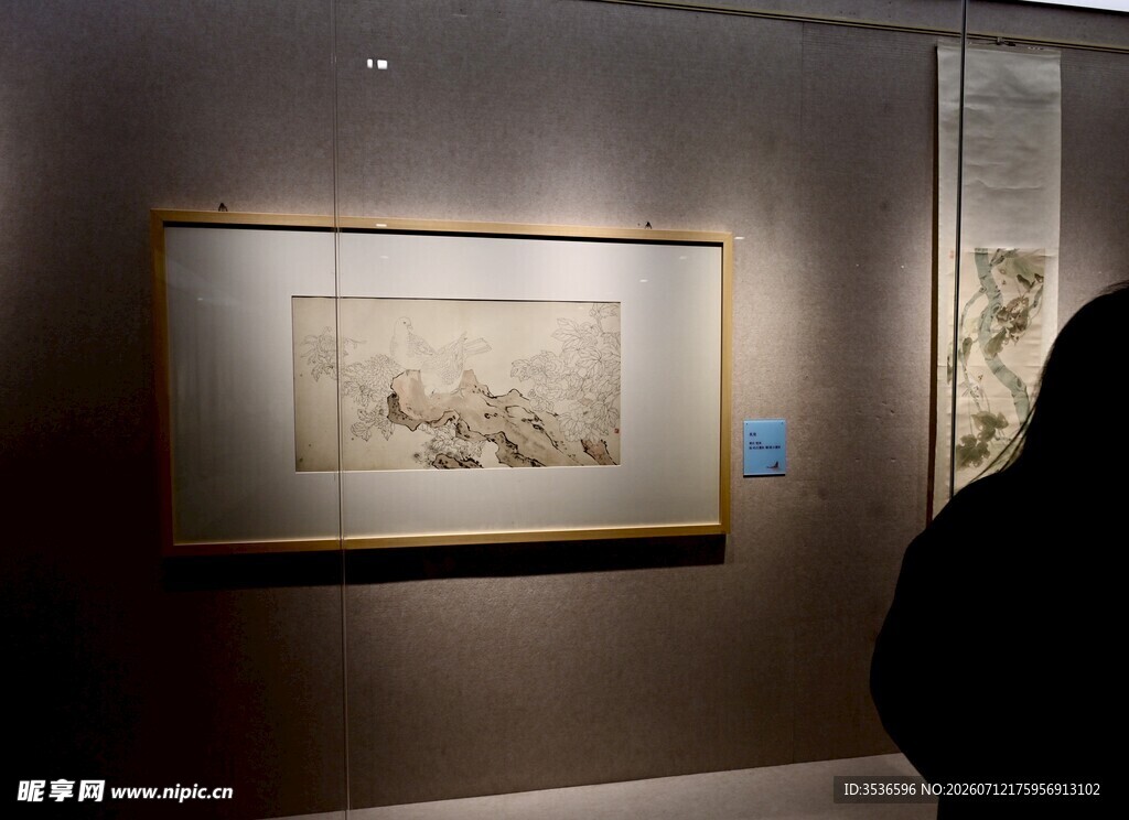 观展