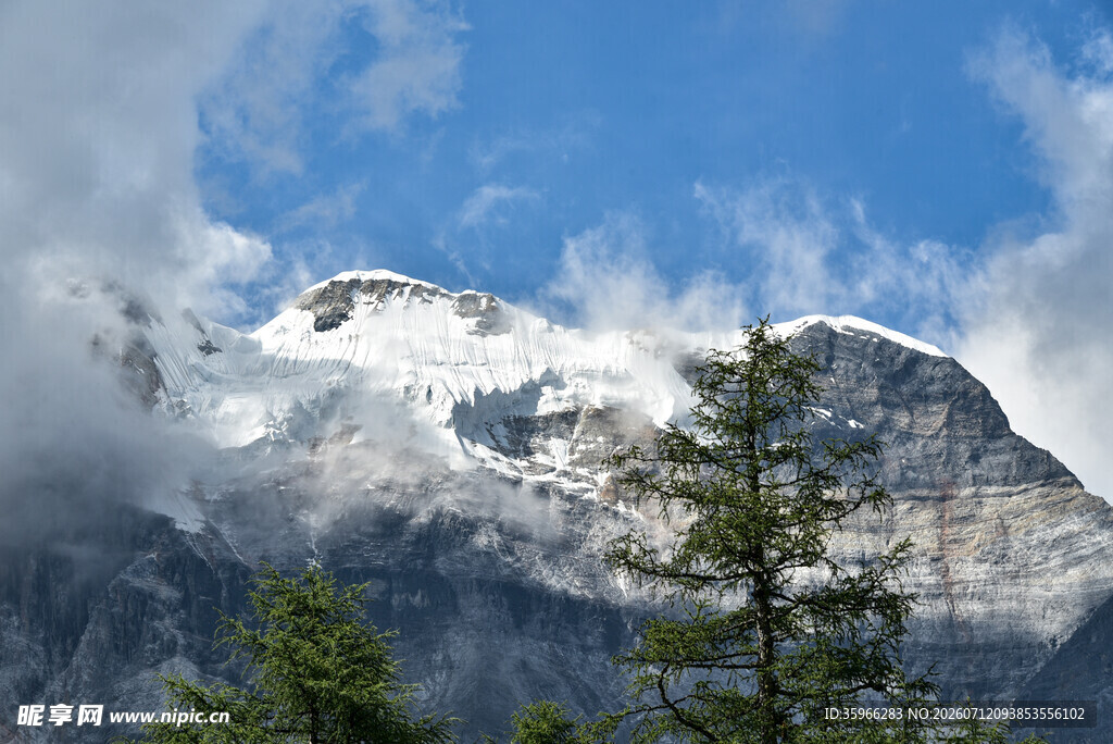 雪山云绕松立山间