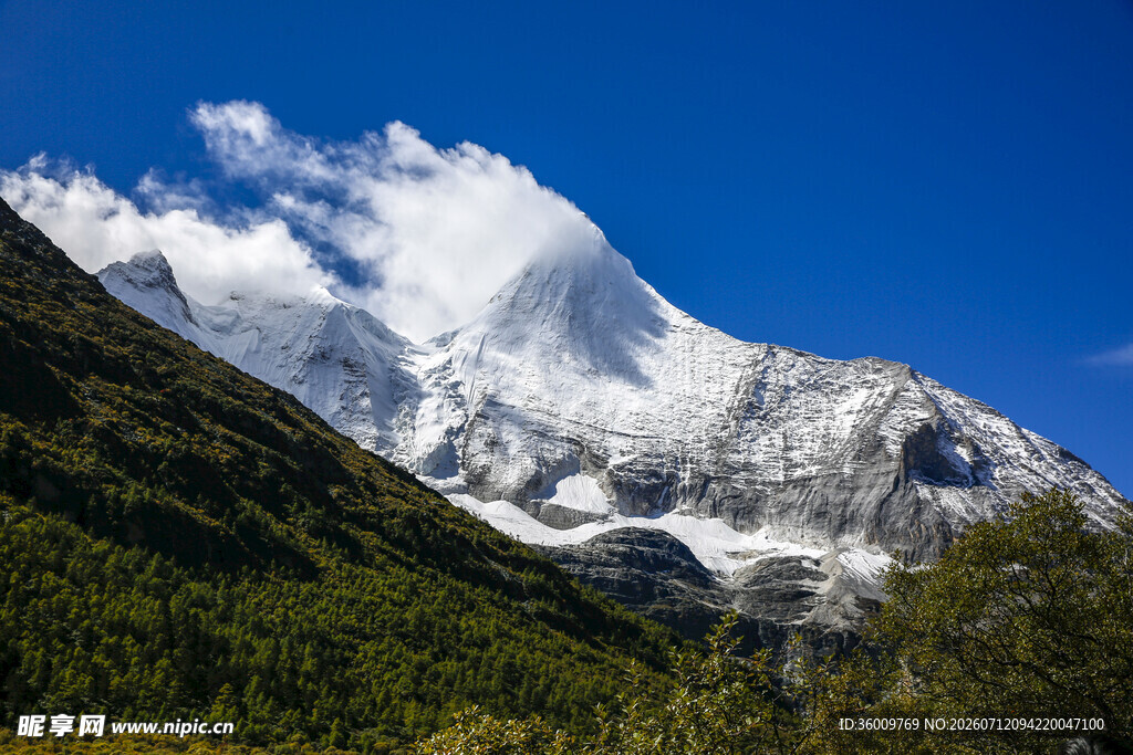 巍峨雪山与葱郁山林