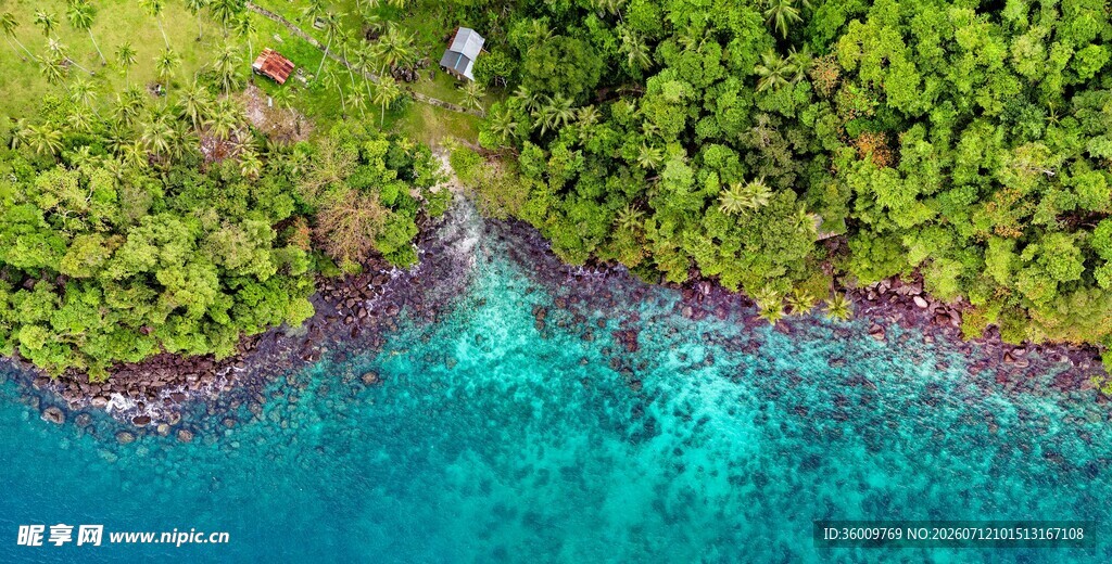 俯瞰碧海与葱郁海岸