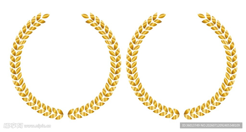 金色麦穗边框